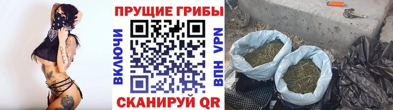 Галлюциногенные грибы Magic Shrooms  где продают наркотики  Нурлат 